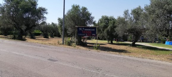 Grundstück in Pianella, Italy 4249m², Nr. 104511 10