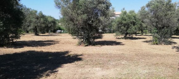 Grundstück in Pianella, Italy 4249m², Nr. 104511 7