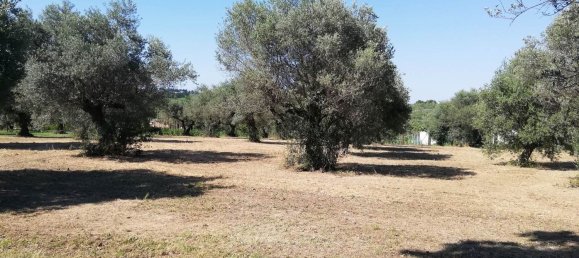 Grundstück in Pianella, Italy 4249m², Nr. 104511 14