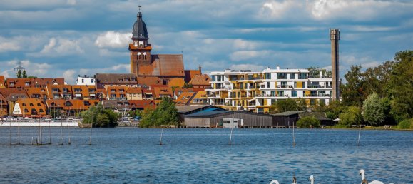 3 rooms Hotel in Mecklenburgische Seenplatte, Germany No. 128347 7