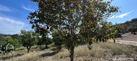 Дом с 7 спальнями в Торриш Новаш, Португалия № 142156 12