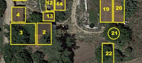 Дом с 7 спальнями в Торриш Новаш, Португалия № 142156 6