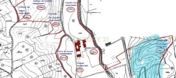 Дом с 7 спальнями в Торриш Новаш, Португалия № 142156 8