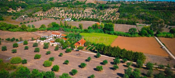 Дом с 7 спальнями в Торриш Новаш, Португалия № 142156 42