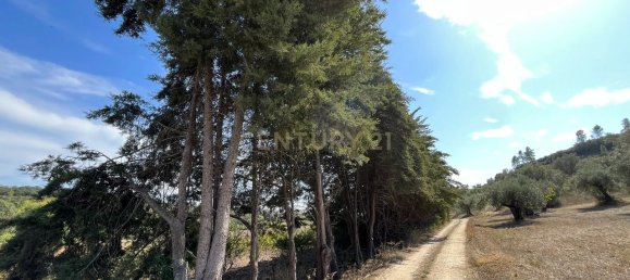 Дом с 7 спальнями в Торриш Новаш, Португалия № 142156 7