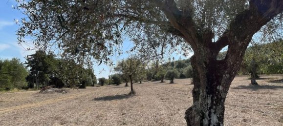 Дом с 7 спальнями в Торриш Новаш, Португалия № 142156 4