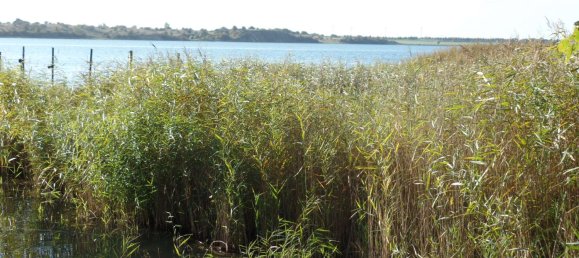 2 Schlafzimmer Bungalow in Vorpommern-Rügen, Germany, Nr. 126730 26