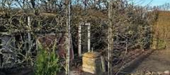 2 Schlafzimmer Bungalow in Vorpommern-Rügen, Germany, Nr. 126730 18