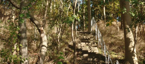 2 Schlafzimmer Bungalow in Vorpommern-Rügen, Germany, Nr. 126730 20