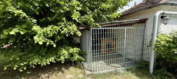 3 bedrooms Bungalow in Cottbus, Germany No. 371816 8