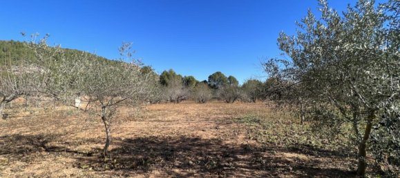 6 chambres Maison à L'Olleria, Spain No. 89889 24