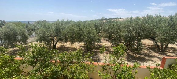 Casa de 4 dormitorios en Córdoba, Spain No. 160859 39