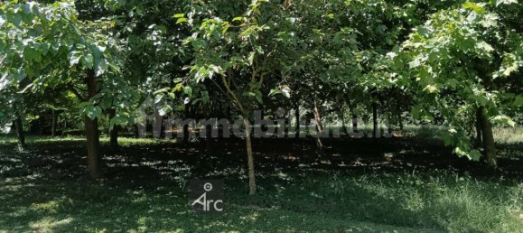 4 bedrooms Villa in Camisano Vicentino, Italy No. 278297 42