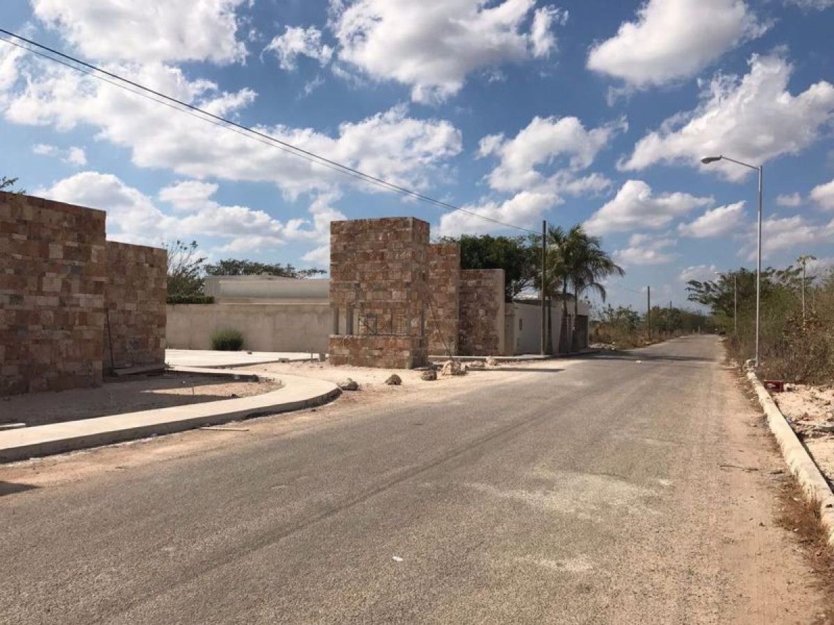 Земельный участок в Мерида, Мексика № 106168