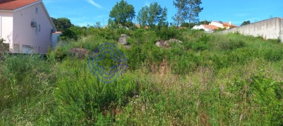 Grundstück in Tomar, Portugal 806m², Nr. 79587 4