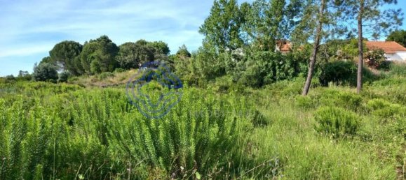 Grundstück in Tomar, Portugal 806m², Nr. 79587 5