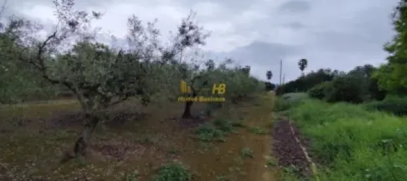 3 bedrooms House in Tortosa, Spain No. 165413 14