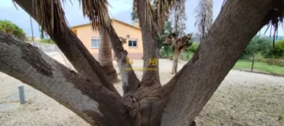 3 bedrooms House in Tortosa, Spain No. 165413 18