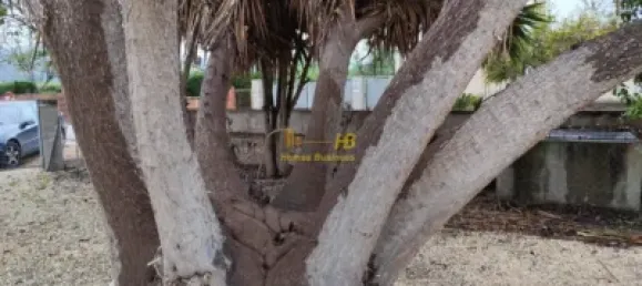 3 bedrooms House in Tortosa, Spain No. 165413 16