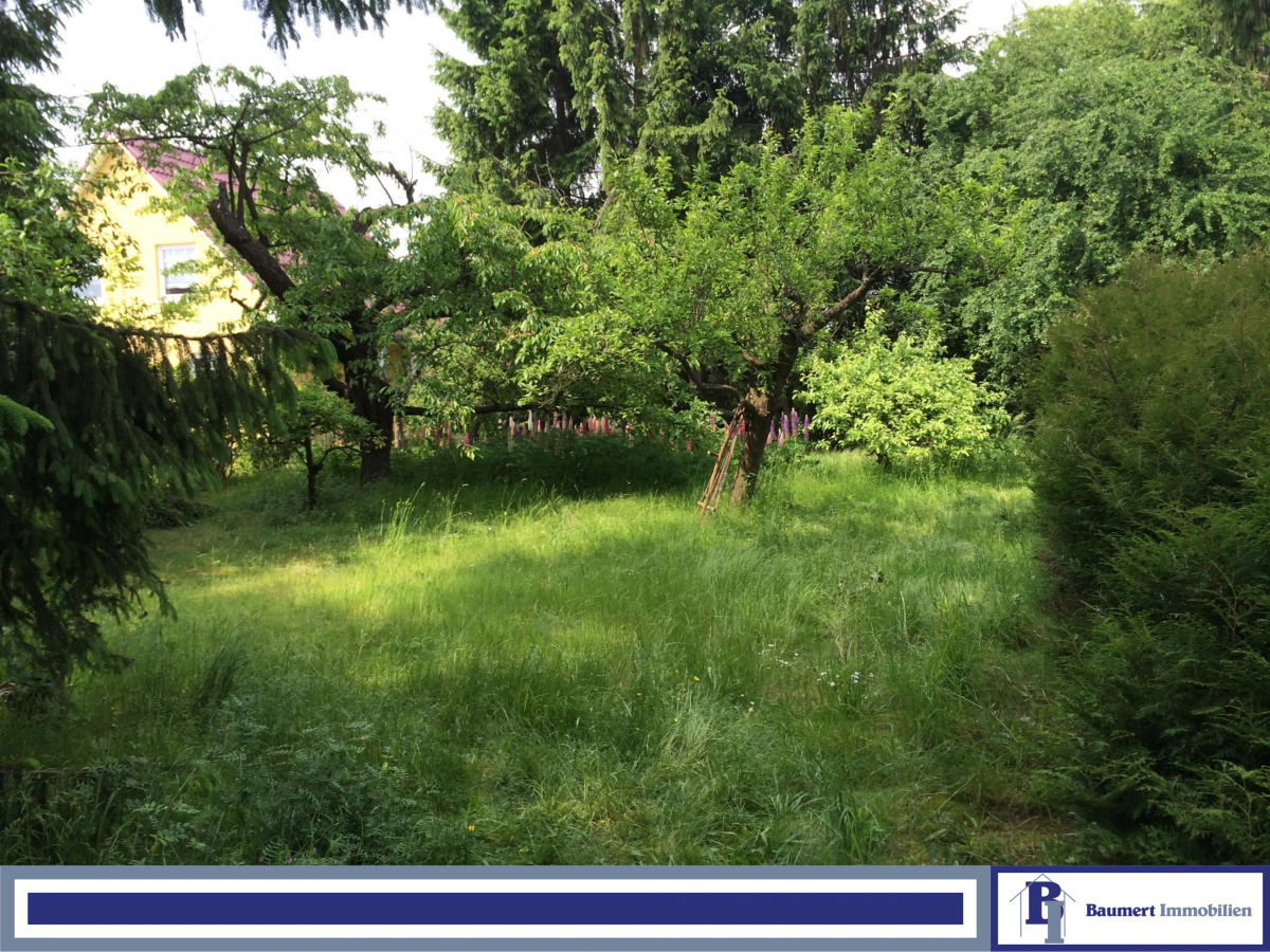 Земельный участок в Бисдорф, Германия № 35964