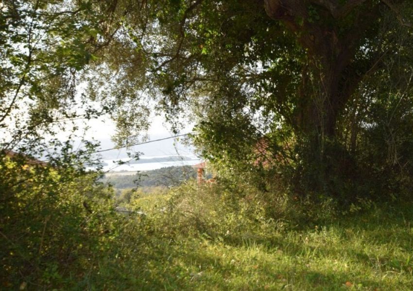 17304m² Hotel in Kotor, Montenegro No. 170