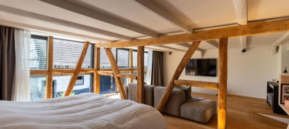 5 chambres Châteaux à Sierentz, France No. 251750 6