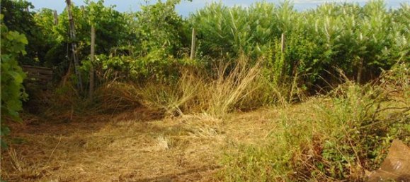 Casa de 2 dormitorios en Adria, Italy No. 81091 6