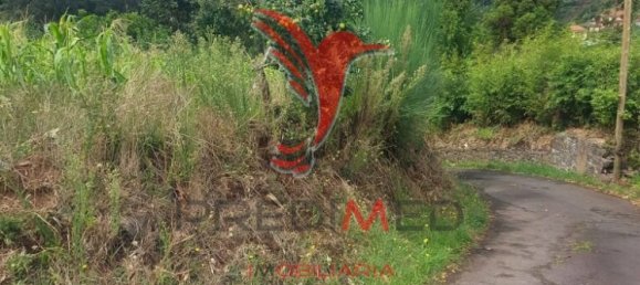 قطعة أرض في Machico, Portugal 1090متر مربع رقم 89498 10