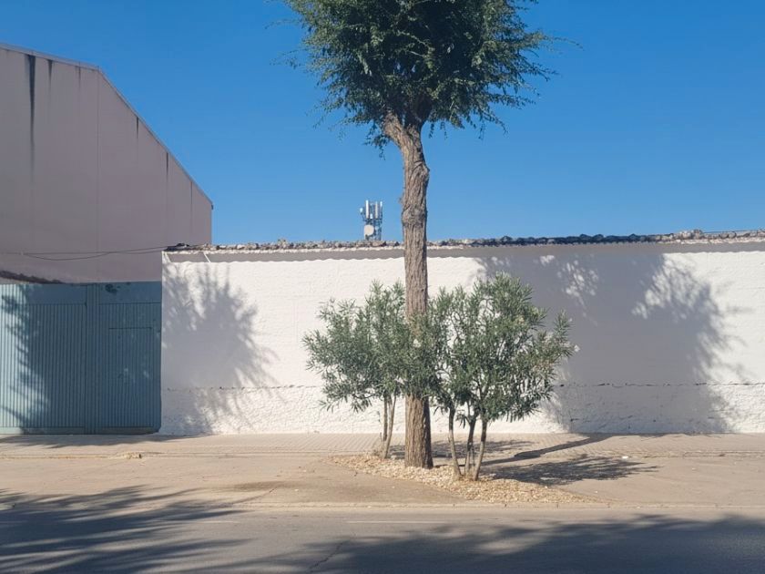 Terreno em Ciudad Real, Spain 800 m² N.º 247165