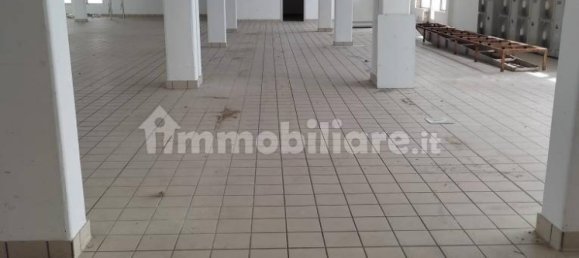 Propriété commerciale à Villa del Conte, Italy 810m² No. 227941 6