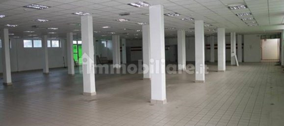 Propriété commerciale à Villa del Conte, Italy 810m² No. 227941 2