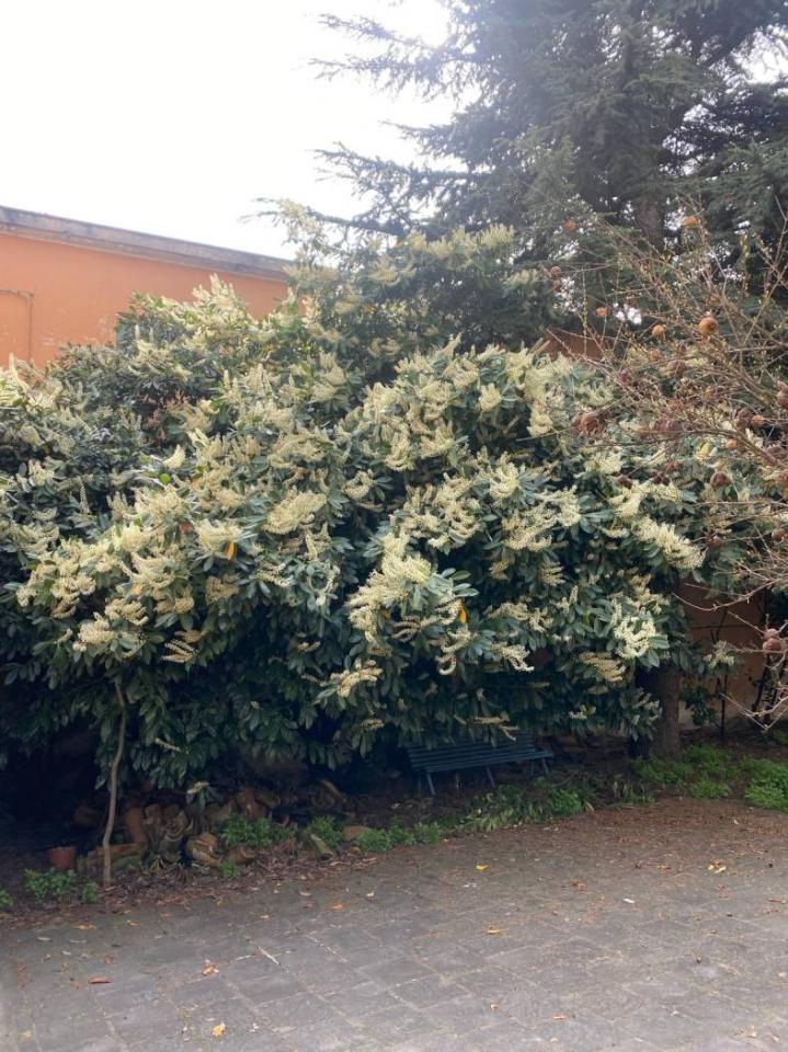 10-Zimmer Haus in Castel San Giovanni, Italy, Nr. 24461