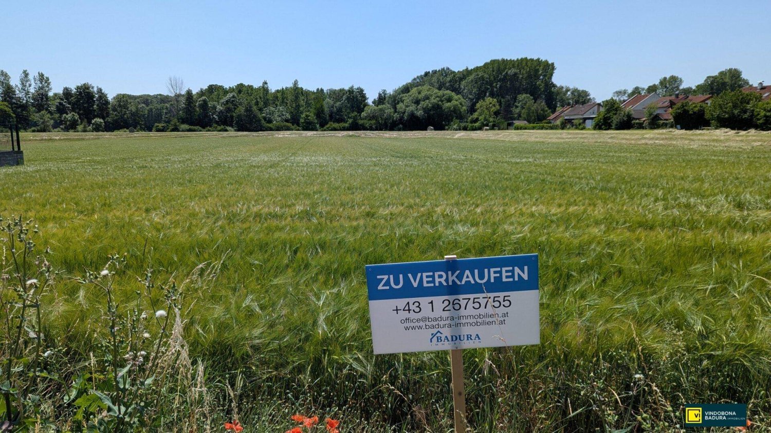 1441m² Land in Trautmannsdorf an der Leitha, Austria No. 38747