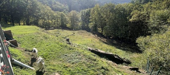 6غرفة منزل في Phalsbourg, France رقم 230144 9