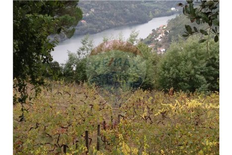 3600m² Land in Baiao, Portugal No. 62130