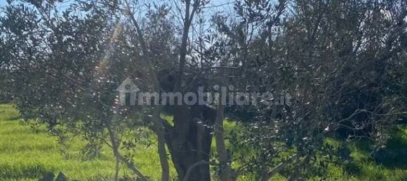 Terreno em Casarano, Italy 4500 m² N.º 330020 5