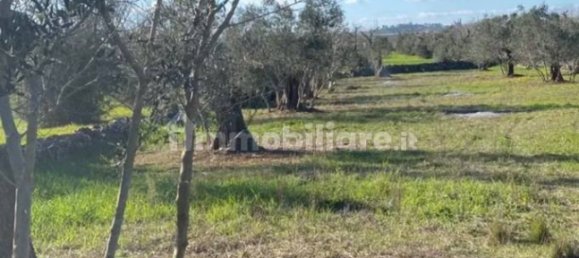 Terreno em Casarano, Italy 4500 m² N.º 330020 4