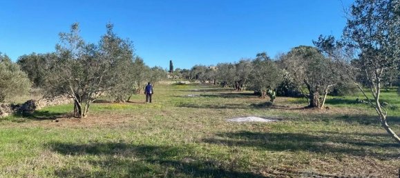 Terreno em Casarano, Italy 4500 m² N.º 330020 3