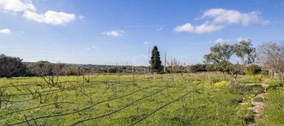 5 bedrooms Finca in Alaior, Spain No. 197 21