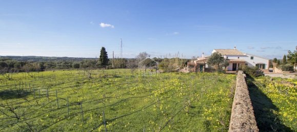 5 bedrooms Finca in Alaior, Spain No. 197 3