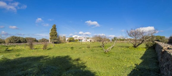 5 bedrooms Finca in Alaior, Spain No. 197 23