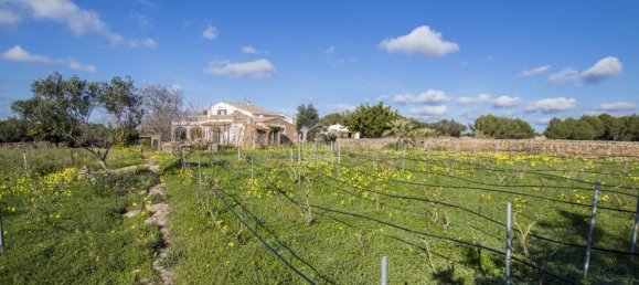 5 bedrooms Finca in Alaior, Spain No. 197 37