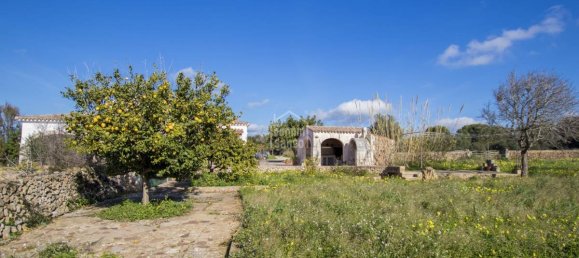 5 bedrooms Finca in Alaior, Spain No. 197 25