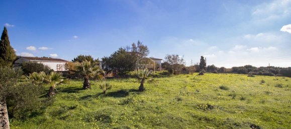5 bedrooms Finca in Alaior, Spain No. 197 4