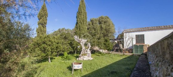 5 bedrooms Finca in Alaior, Spain No. 197 7