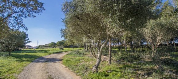 5 bedrooms Finca in Alaior, Spain No. 197 32