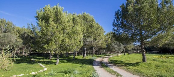 5 bedrooms Finca in Alaior, Spain No. 197 31