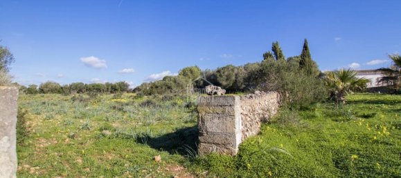 5 bedrooms Finca in Alaior, Spain No. 197 27