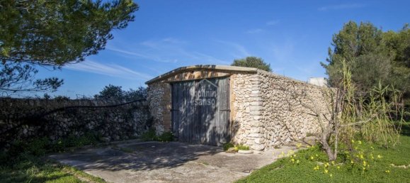 5 bedrooms Finca in Alaior, Spain No. 197 17