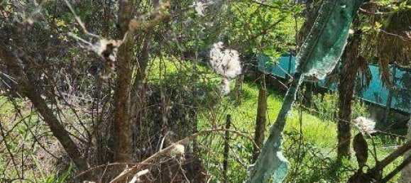 5 chambres Maison à Borgomanero, Italy No. 87138 7